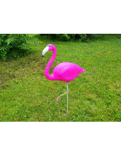 Flamingo 2