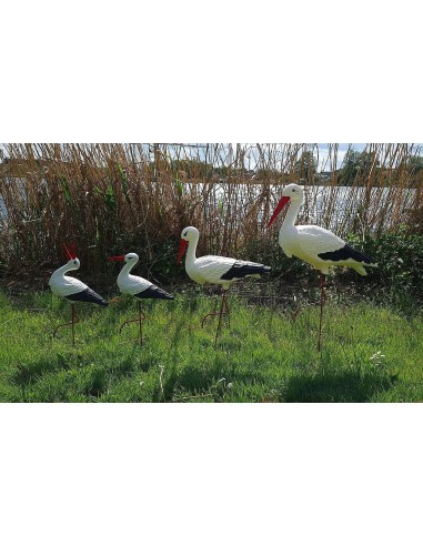 Famille de 4 Cigognes : Lot de Statues de Jardin (Tailles Variées)