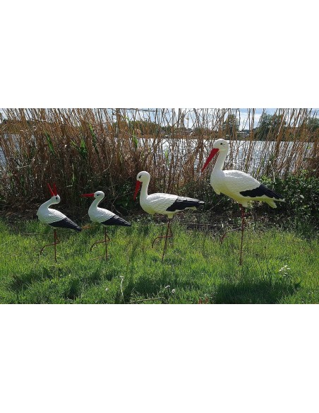 Famille de 4 Cigognes : Lot de Statues de Jardin (Tailles Variées)