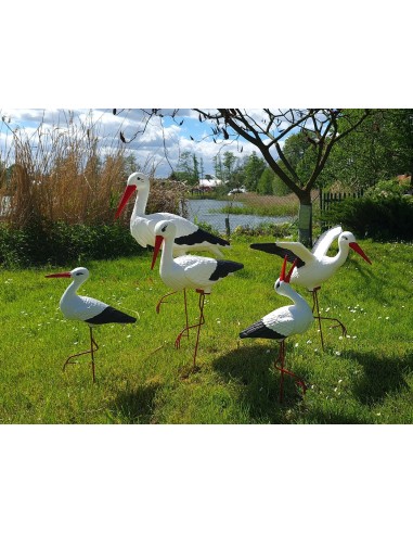 Famille de 5 Cigognes : Kit de Jardin XXL (dont 1 en Vol)