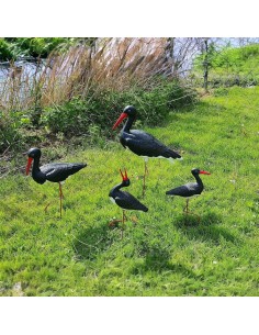 Famille de 4 Cigognes Noires : Lot de Jardin Original