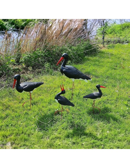 Famille de 4 Cigognes Noires : Lot de Jardin Original