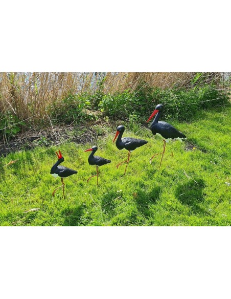 Famille de 4 Cigognes Noires : Lot de Jardin Original