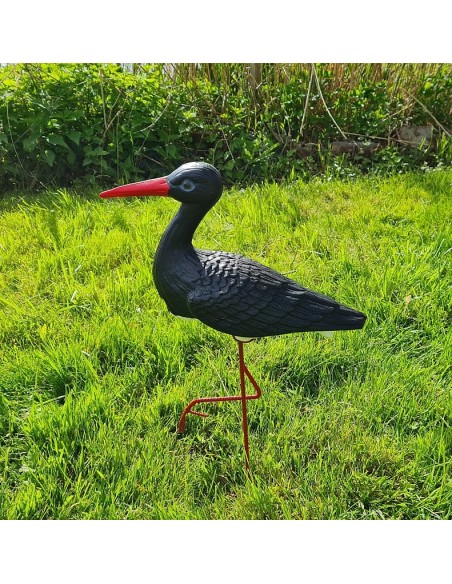 Famille de 4 Cigognes Noires : Lot de Jardin Original