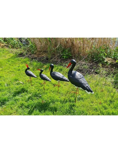Famille de 4 Cigognes Noires : Lot de Jardin Original