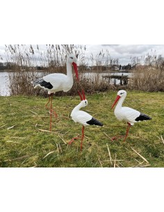 Trio de Cigognes : Grande, Moyenne & Cliquetis (Jardin)