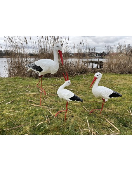 Trio de Cigognes : Grande, Moyenne & Cliquetis (Jardin)
