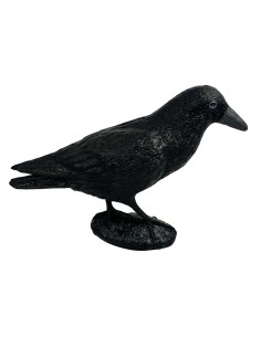 Corbeau Noir de Jardin : Figurine Déco & Anti-Pigeons
