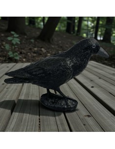 Corbeau Noir de Jardin : Figurine Déco & Anti-Pigeons 2