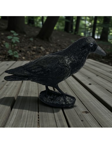Corbeau Noir de Jardin : Figurine Déco & Anti-Pigeons