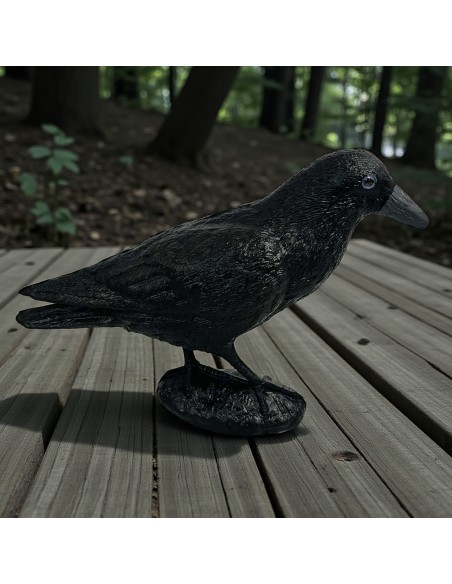 Corbeau Noir de Jardin : Figurine Déco & Anti-Pigeons