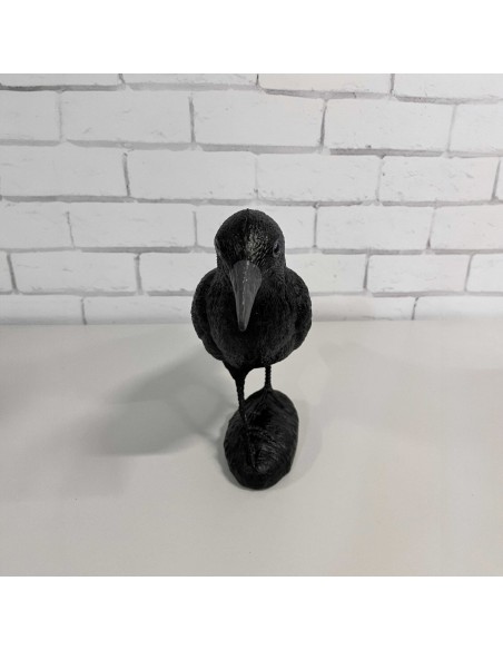 Corbeau Noir de Jardin : Figurine Déco & Anti-Pigeons